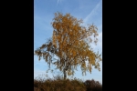 p1050326