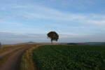 p1050330